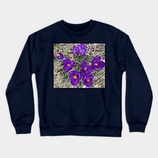 Purple Crocuses Crewneck Sweatshirt